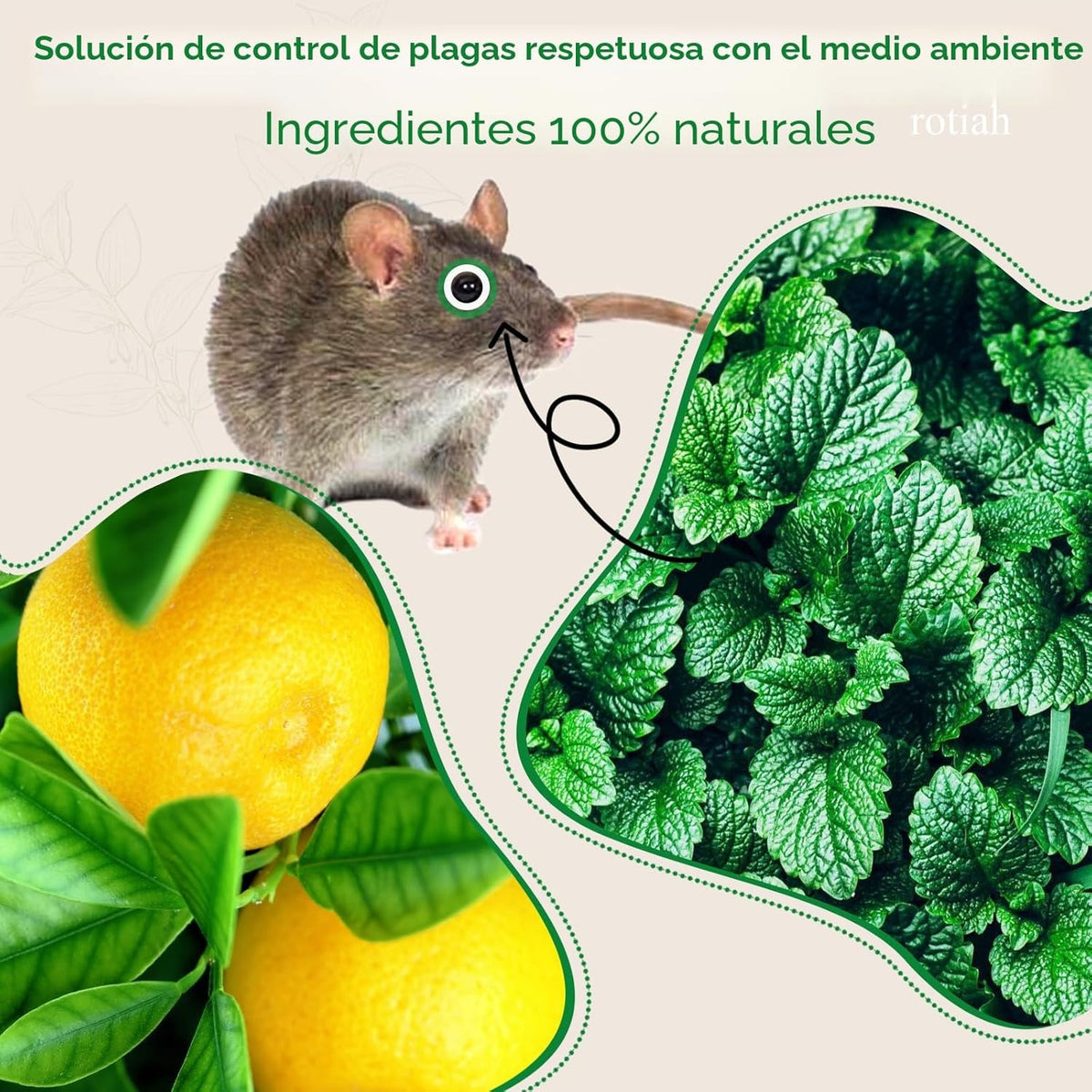Repelente Natural de Insectos y Roedores detalle