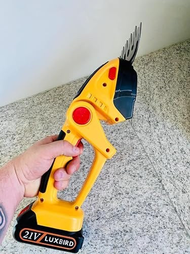 Foto real de Diego Salas